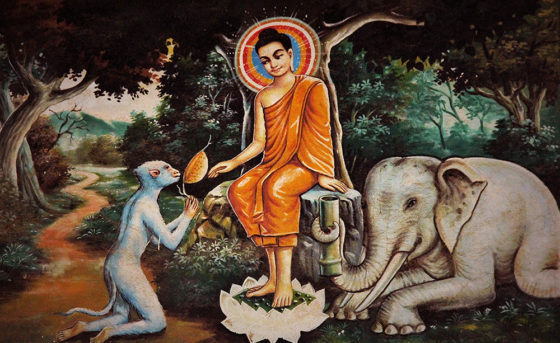 The Elephant-Buddhism